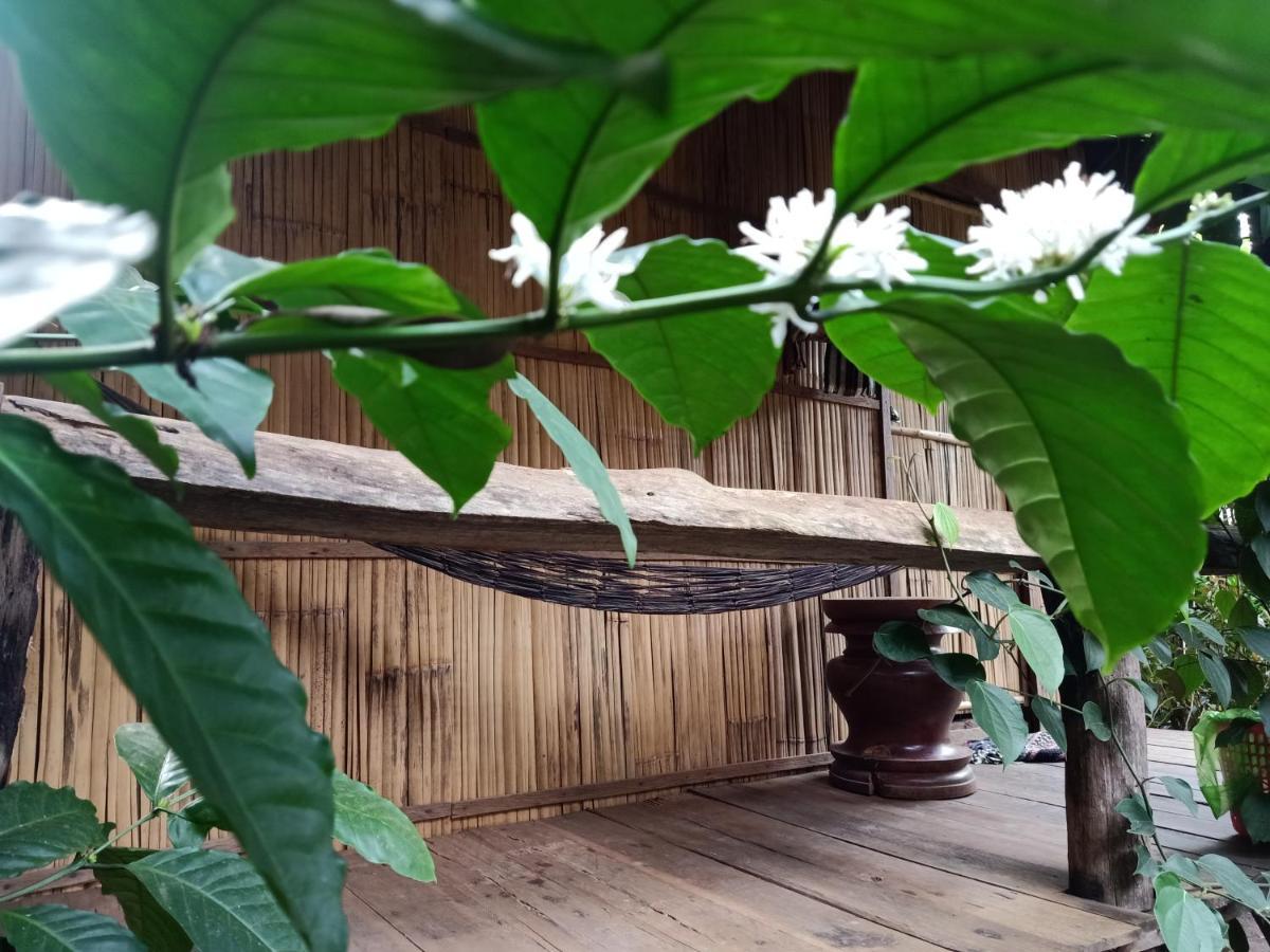 Tribal Village Homestay & Trekking Banlung Extérieur photo