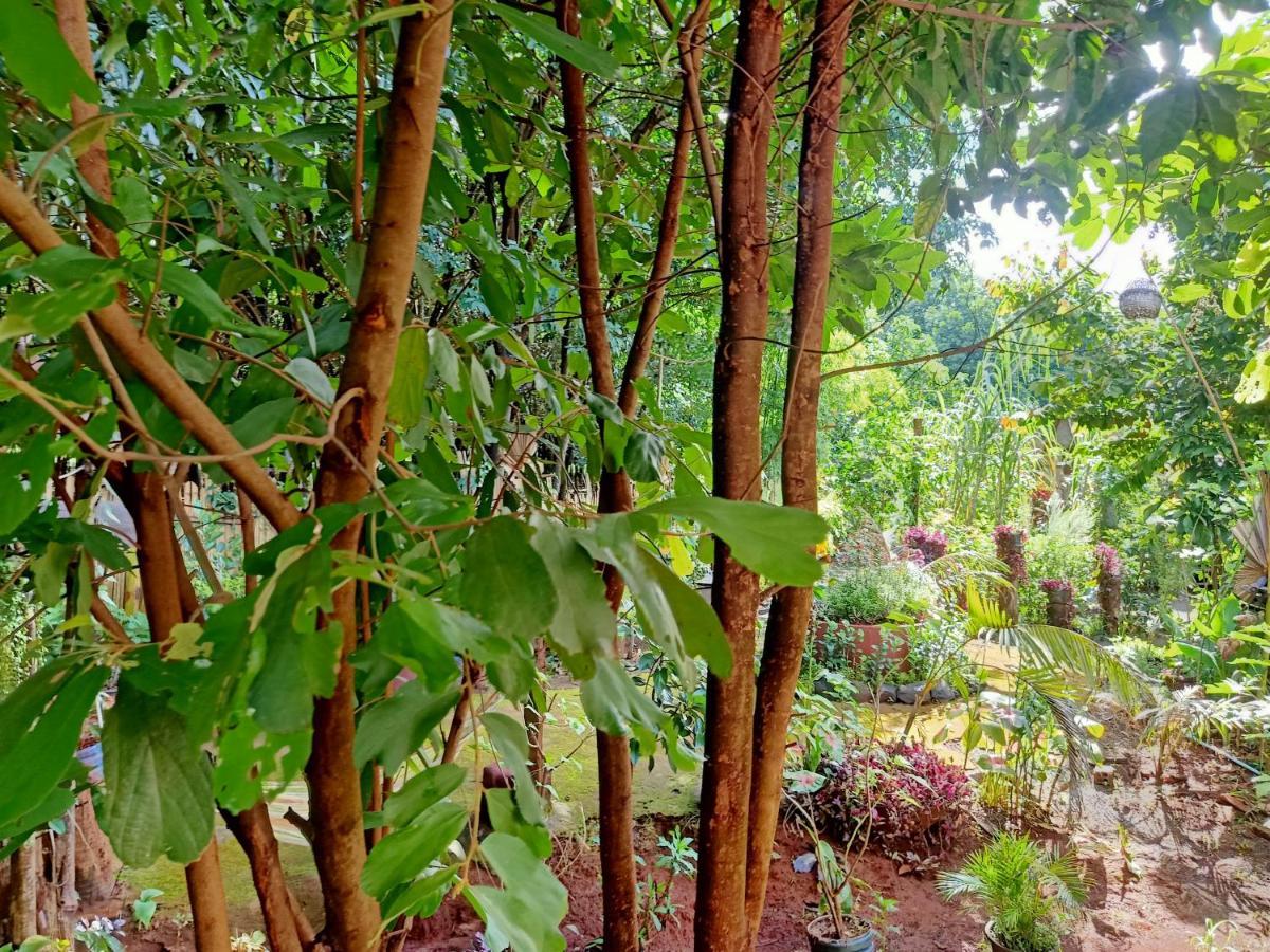 Tribal Village Homestay & Trekking Banlung Extérieur photo