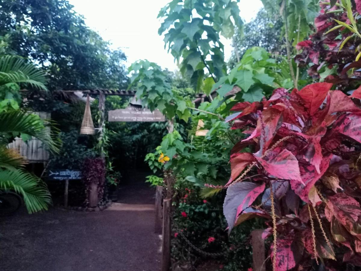 Tribal Village Homestay & Trekking Banlung Extérieur photo