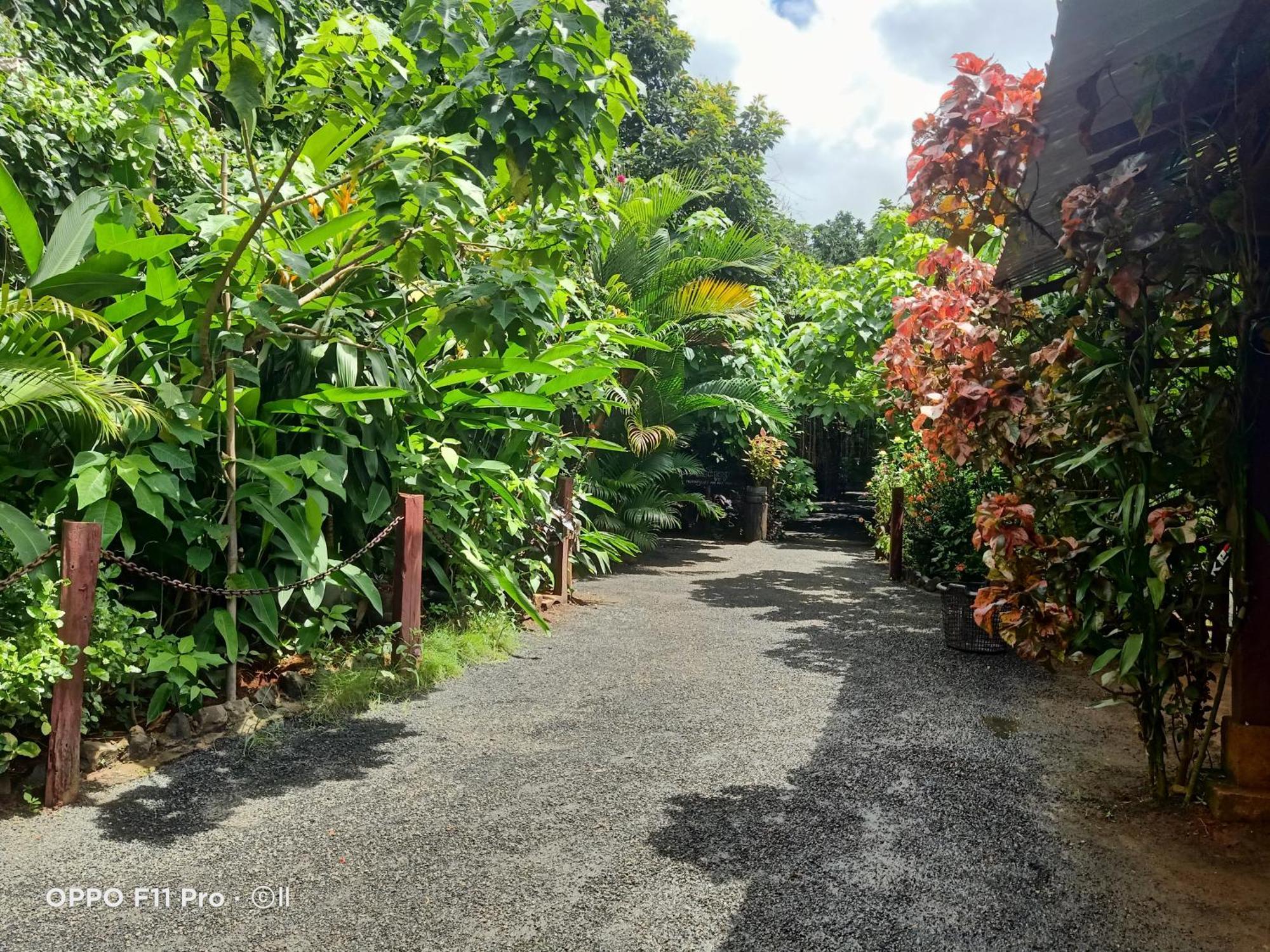 Tribal Village Homestay & Trekking Banlung Extérieur photo