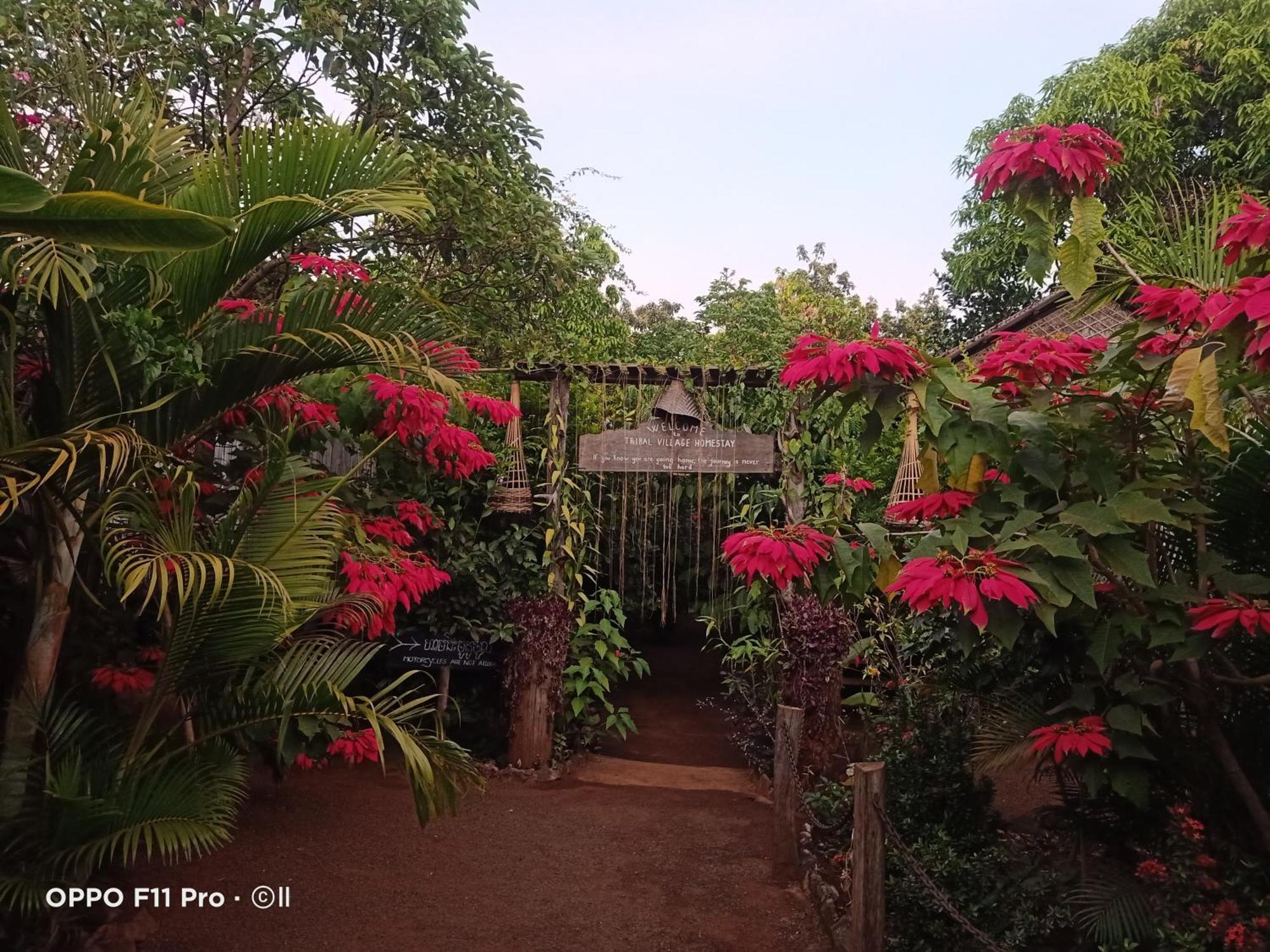 Tribal Village Homestay & Trekking Banlung Chambre photo